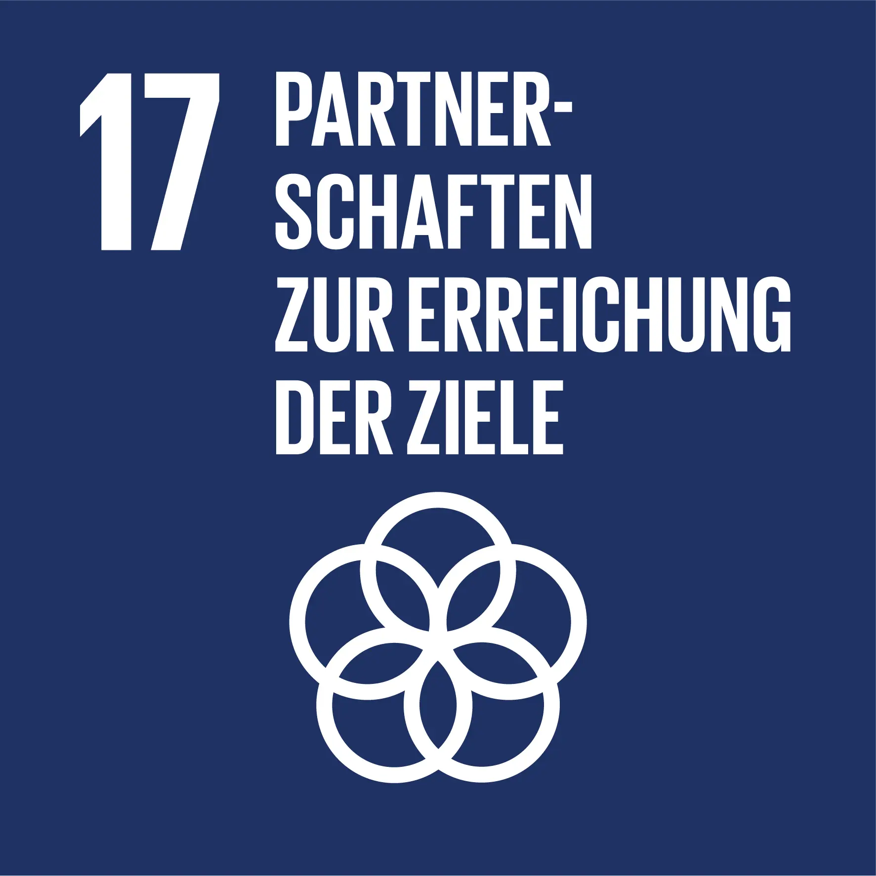 Ziel 17: Partnerschaften zur Erreichung der Ziele. Fünf miteinander verflochtene Ringe vor einem dunkelblauen Hintergrund.