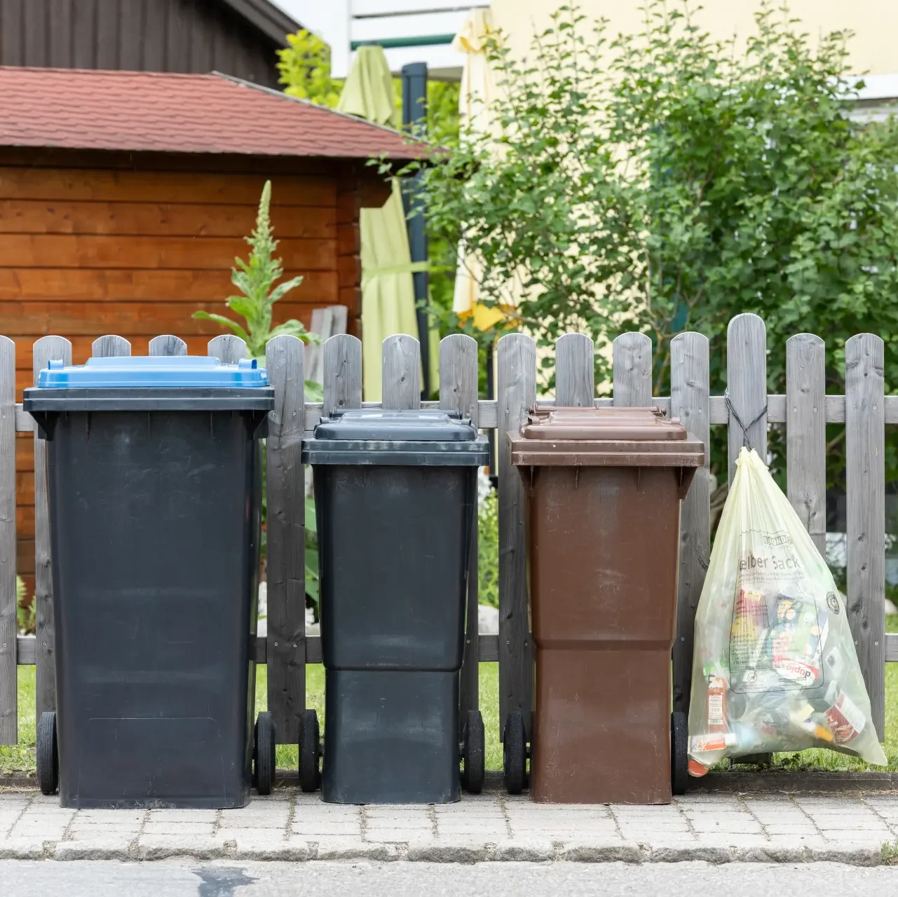 Drei Mülltonnen und gelber Sack vor Gartenzaun
