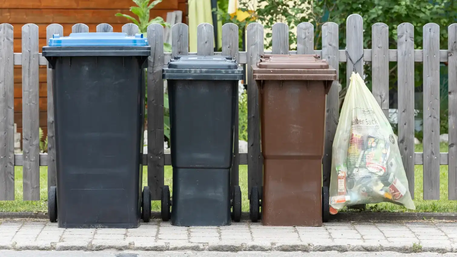Drei Mülltonnen und gelber Sack vor Gartenzaun