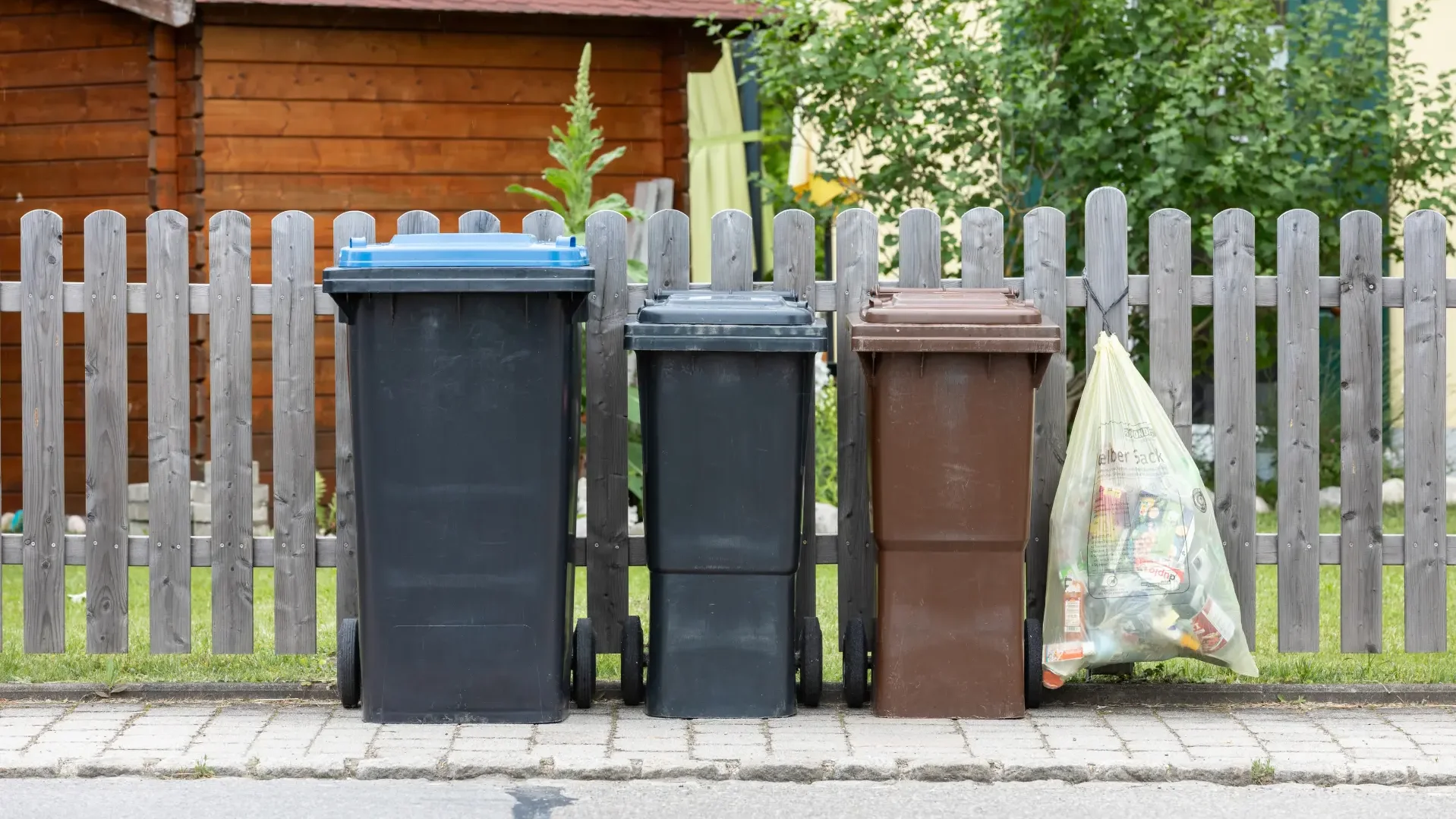 Drei Mülltonnen und gelber Sack vor Gartenzaun